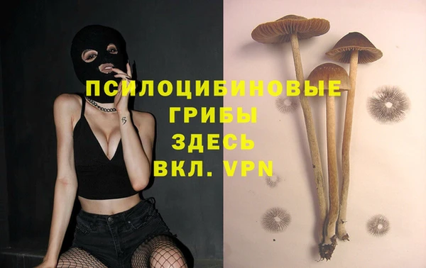 не бодяженный Алзамай