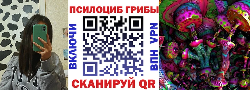 KRAKEN зеркало  Тайшет  Галлюциногенные грибы Psilocybine cubensis 