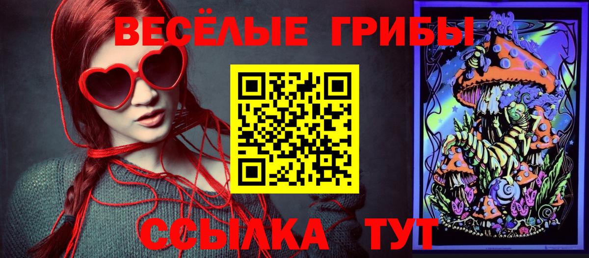 Галлюциногенные грибы GOLDEN TEACHER  Вход с VPN  купить  сайты  Тайшет 